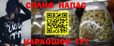 ешки Нарткала